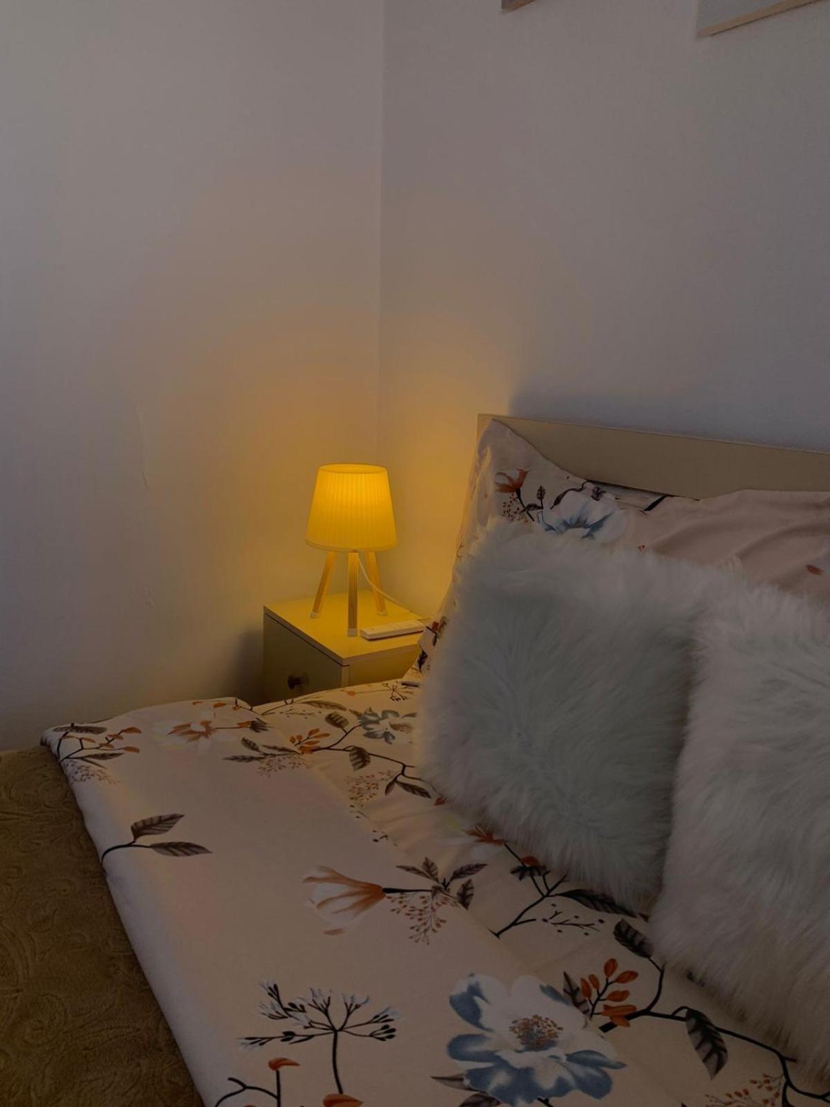 Ridi'S Comfort Apartment 2 Szkodra Zewnętrze zdjęcie