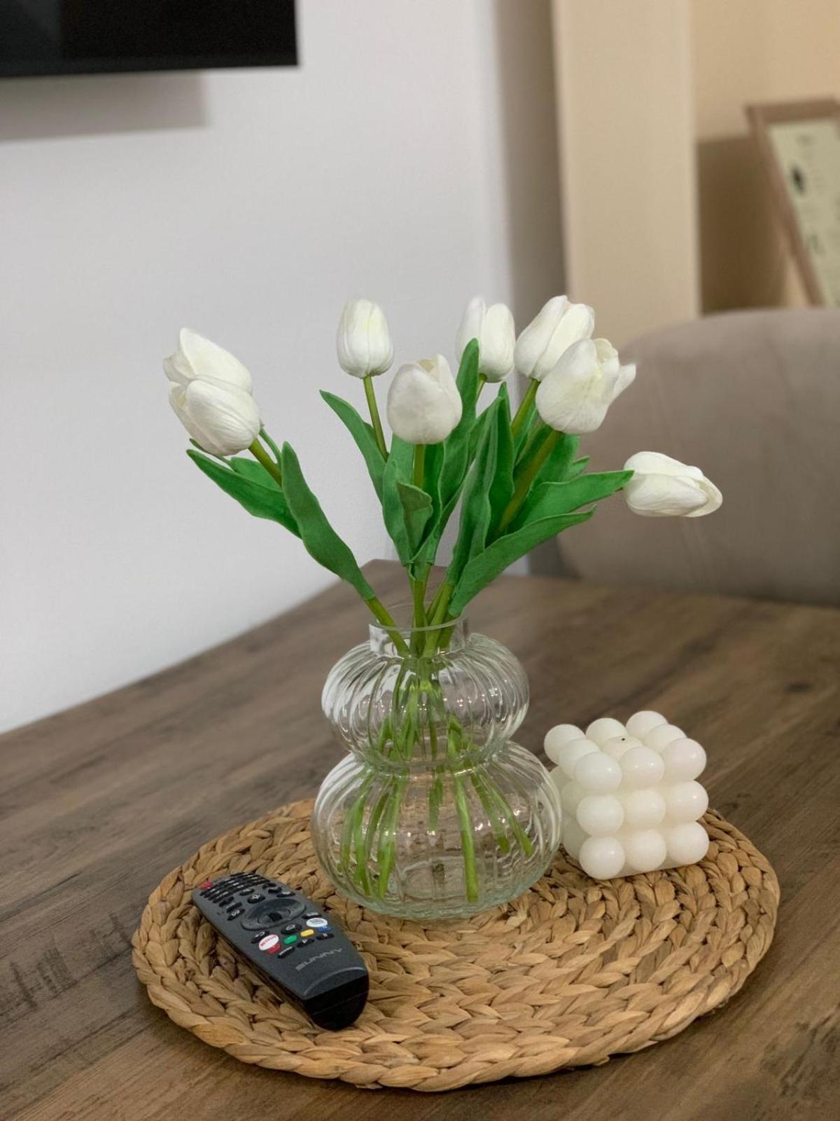 Ridi'S Comfort Apartment 2 Szkodra Zewnętrze zdjęcie